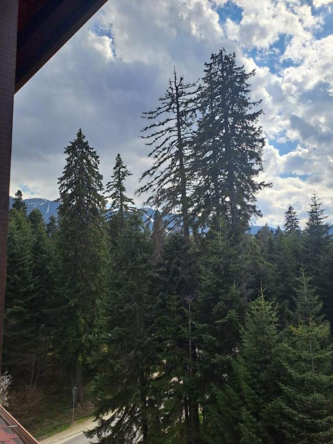 Premium Apartment In Borovets Gardens Complex Exterior foto